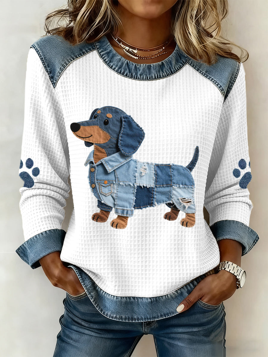 Nuria - Shady dachshund with denim patchwork